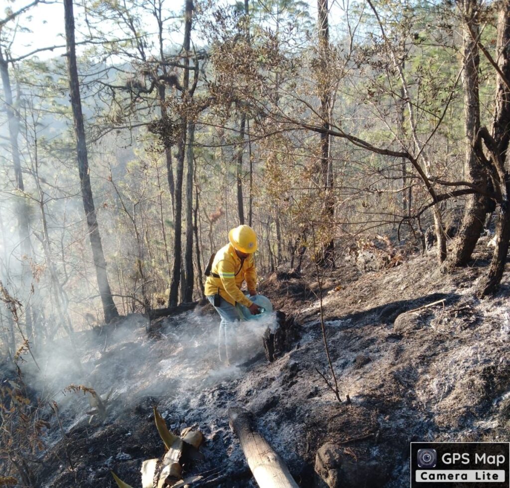 INCENDIO-1-1024x980 Controlado incendio forestal en San Pedro y San Pablo Ayutla