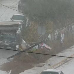 Lluvia en la capital oaxaqueña deja árboles caídos y cortes de energía eléctrica