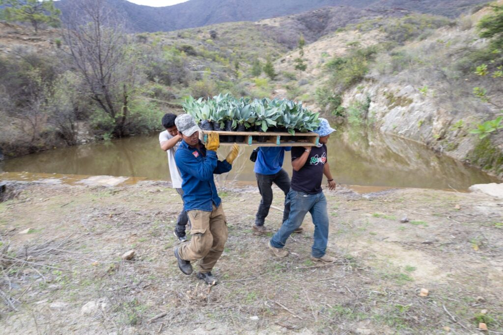 ¡Todo-listo-para-arrancar-la-Jornada-Estatal-de-Reforestacion-2024-en-San-Lucas-Quiavini-2-1024x682 ¡Todo listo para arrancar la Jornada Estatal de Reforestación 2024 en San Lucas Quiaviní!