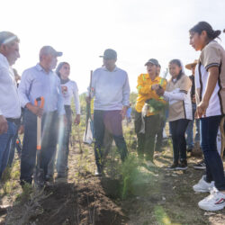 Todo un éxito el Mega Tequio de Reforestación Bienestar